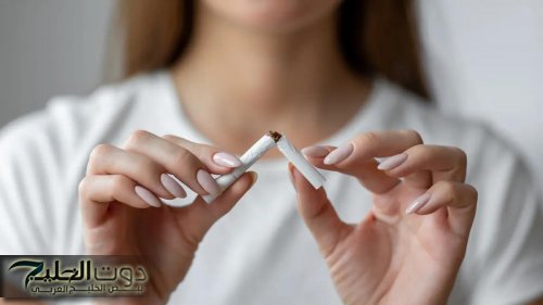 هتدخن في مكان غلط؟ تعالى شوف ممكن يوصلك لفين