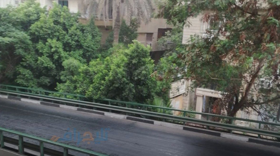 عاجل: “منخفض الهند” يزور مصر بأمطار صيفية.. و”الأرصاد” تحذّر من طقس متقلب