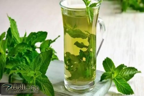 «سر طبيعى يغنيك عن الادويه للابد».. هذه العشبة المهملة تعمل على تنظيف سموم الكلى والكبد والجسم في دقائق