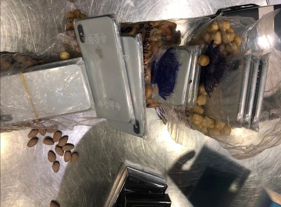 عاجل: ثعابين وعقارب وديدان.. أغرب عمليات التهريب في مطار القاهرة