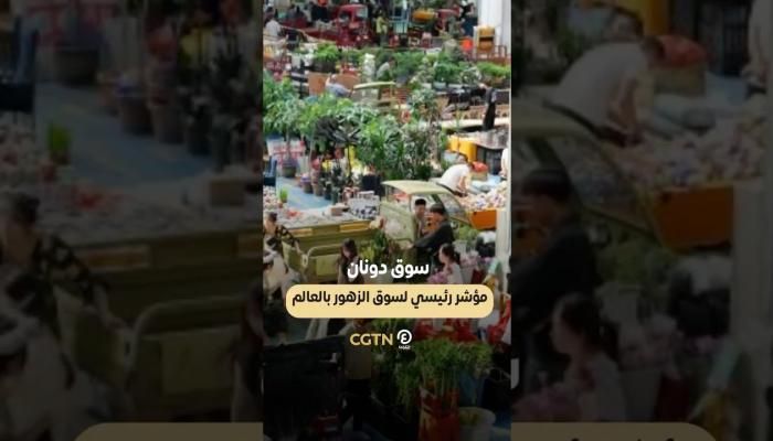 عاجل: سوق دونان.. مؤشر رئيسي لسوق الزهور بالعالم