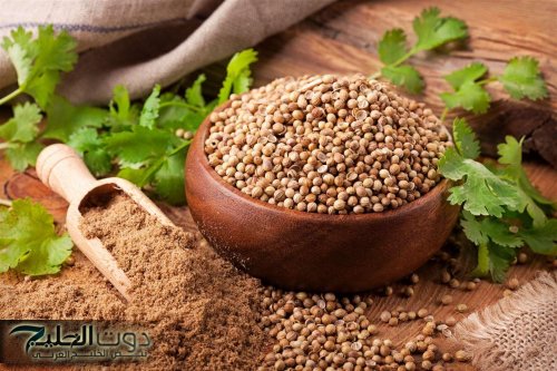 «عشبة هتجيب من الآخر».. قل وداعا لمرض السكر باستخدام هذه النبتة السحرية تنظم ضغطك وسكرك في لحظات!