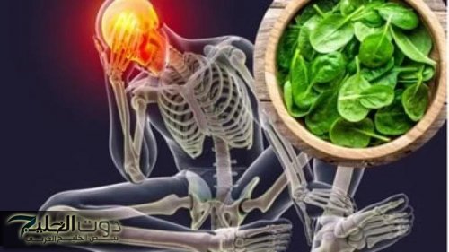 «الذاكرة هتبقا تمام التمام»….أقضي على النسيان واصبح ذكياً بمنتهى الملاحظة.. هذه الطرق السحرية للتذكر وزيادة