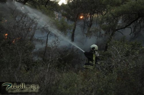 استقدام فرق دعم إضافية للتعامل مع الحرائق في جبال اللاذقية