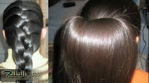 «ازاي مكنتش اعرفها من زمان!!»… عشبة مهملة في كل بيت تحل جميع مشاكل البشرة أول استخدام.. سر الجمال الطبيعي