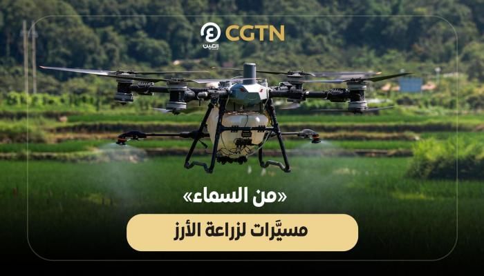 عاجل: «من السماء».. طائرات دون طيار تزرع الأرز في الصين