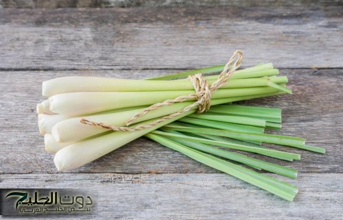 عشبة خضراء ذات رائحة عطرة قوية وبسعر التراب تصنع معجزات..تخفض سكر الدم بسرعة كبيرة وتنقي الجسم من السموم!!