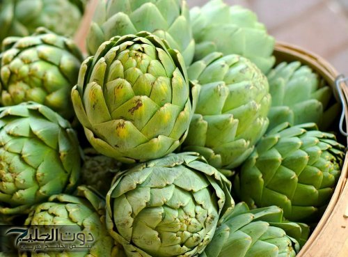 "هدية من السماء!!"..عشبة تخلصك من الامساك وتنظف جسدك من البراز المتحجر في ساعه واحدة فقط..تغسل