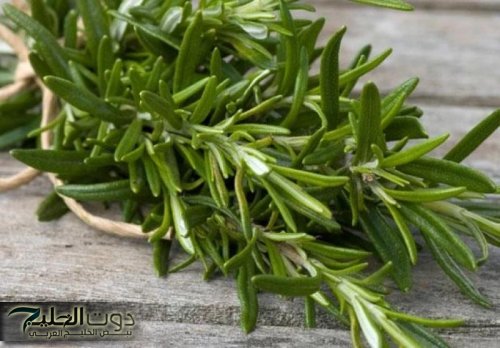 معجزة عشبة نزلت من السماء استنشاقها يقوي الذاكرة ويقضى على الزهايمر وثعلبة الشعر ويحسن وظائف المخ ويخفف