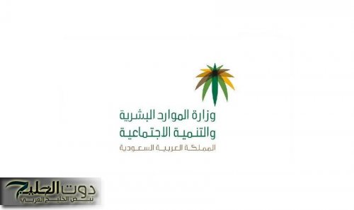 كيفية تحديث بيانات الضمان الاجتماعي المطور بسهولة على منصة الدعم 1446 للمستفيدين المصريين