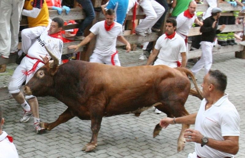 عاجل: سان فيرمين.. ما لا تعرفه عن جنون الجري أمام الثيران