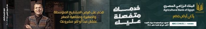مصر تتعاقد على استيراد 700 ألف طن من شحنات الوقود خلال يوليو