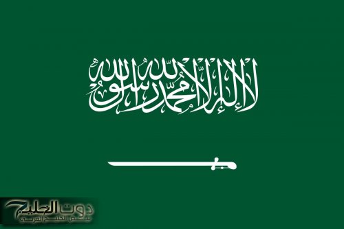 قرار ملكي بإلغاء سعودة 13 مهنة وفتح الباب للعمالة الأجنبية للعمل في هذه المهن في السعودية