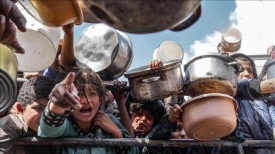 أخبار اليمن : الأغذية العالمي: غزة على حافة المجاعة