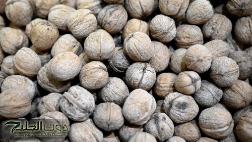 كنز رباني لا يقدر بثمن .. بذور سحرية تنسف الكرش وتحارب السرطان وتنظف القولون وتضبط مستويات السكر في الدم