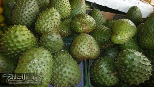 عشبة اعجازية جبلية قاسية من الله يتهاتف عليها جميع الاطباء.. تقضي على الورم تماما وتنمو في الشتاء ودواء سحري