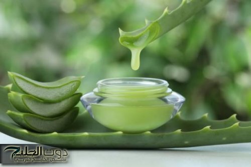 "سر الشباب الدائم" .. نبات معجزة يؤخر الشيخوخة ويمحي التجاعيد ويجدد البشرة | جربيه وهتشوفي الفرق