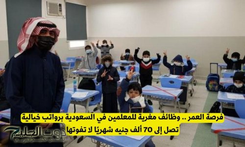 فرصة العمر .. وظائف مغرية للمعلمين في السعودية برواتب خيالية تصل إلى 70 ألف جنيه شهريًا لا تفوتها