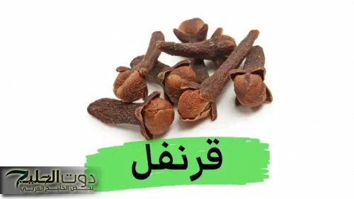 "الوصفة السحرية".. ضعي هذه الاعشاب على شعرك بهذه الطريقة لمنع تساقط الشعر وتقوية الجذور