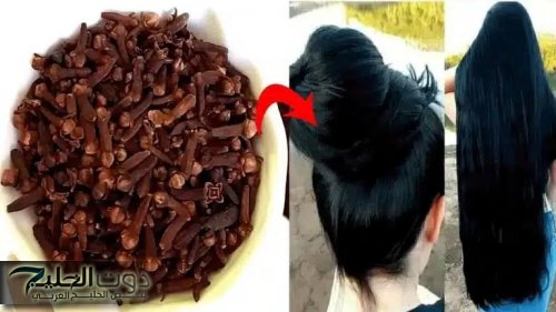 شعرك هيبقى زي الهنود.. استخدمي القرنفل بهذه الطريقة وستحصلي على شعر ناعم وطويل من أول استخدام.. جربيها