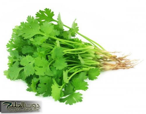 عشبة رخيصة تستخدم بجميع الطبخات تحارب الحصوات تقلص السكر التراكمي وتنقي الكبد وتعزز كفاءة الكلى وتتميز