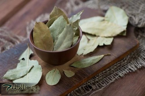 «السر اللي مجنن نص مصر».. استخدموها بهذه الطريقة لمدة 3 أيام فقط وقولوا وداعًا للكرش ودهون البطن..متوفرة