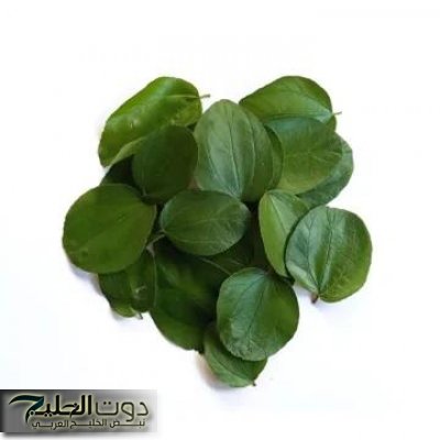 «شعرك هيعدي ركبتك في العيد!!»… عشبة ربانية موجودة في كل بيت تطول وتكثف الشعر من الاستخدام الاول!!