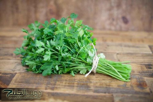 عشبة معجزة برائحة ربانية في كل بيت عربي.. تقوي الذاكرة ويغذي المخ ويحارب الشيخوخة ويعزز نمو الشعر ويطيل
