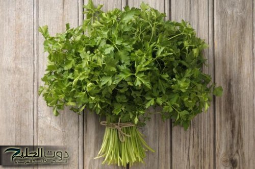 عشبة خضراء تنعش الذاكرة تغذي الدماغ تشد أوتار الشباب تزهر الشعر وتمدد خيوط العمر