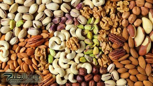 كنا بناكل السم واحنا مش عارفين… نوع من أنواع المكسرات سيكون سبب بوفاتك إذا لم تبتعد عنه اعرفها قبل فوات الأوان hHg