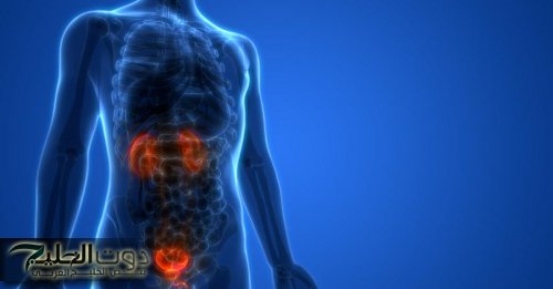 «ماتستناش للآخر!».. خطورة حبس البول اللي ممكن تدمر جسمك وأنت مش حاسس!