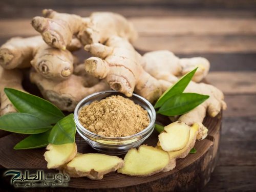 "عشبة هتنجدك من السمنة وموجودة عن أي عطار"... حبة الملوك المنقذ الخفي هترجع شبابك وحيوتك