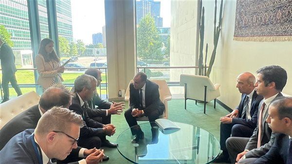 وزير الخارجية يبحث مع نظيره الألماني تسوية القضية الفلسطينية