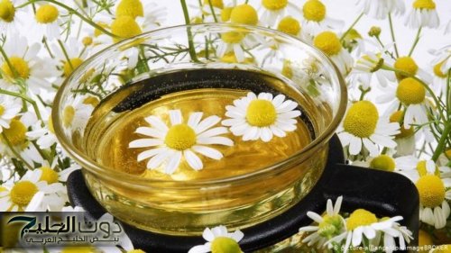 انسي كل مراكز التجميــل.. أعشاب صحية تساعد على نضارة الوجه والبشرة والقضاء على الشيخوخة.. تخلص من البشرة