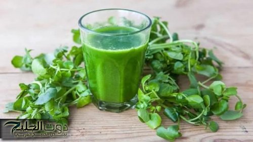 هبة من الله لعباده .. نبتة خضراء برخص التراب تزرع في مصر واليمن يحارب الشيخوخة ويضبط السكر في الدم ويحمي