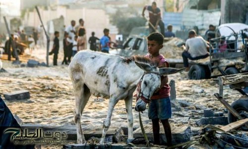 لجنة طوارئ غزة تنتقد آلية إدخال المساعدات عبر رفح