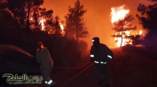 اعتقالات واسعة لوقف موجة حرائق الغابات في تركيا