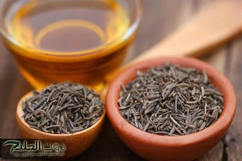 اكتشف قوة العشبة الجبارة التي تنظف القولون من الفضلات والبراز المتحجر بسرعة خارقة في كل بيت عربي