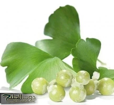 عشبة مهمة جدا قد تنقذ حياتك... مفتاح الشباب والذاكرة القوية في كل بيت عربي! اكتشف سرها الفوري!تفاصيل هامة