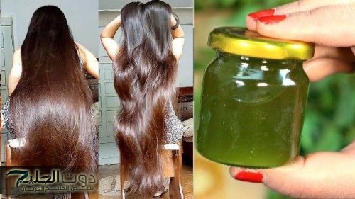 شعرك هيلمع وينعم كأنك خارجة من الكوافير!.. عشبة سحريه مفعولها كالسحر لتنعيم الشعر وتطويله