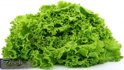 " رخيصة بس نينجا!!".... تنظف الكبد من السموم وتضبط الكولسترول وتعالجك من السعال والزكام في دقائق