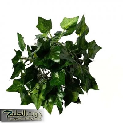 «كنز في مطبخك و انتي مش دريانه».. تعالجك من الغازات والامساك والقولون في دقائق الحل الأمثل لفقرالدم!!