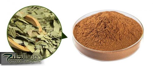 «وداعا للبراز المتحجر والام القولون».. تنظيف القولون والتخلص من الانتفاخ بعشبة جهنمية في 5 دقائق!