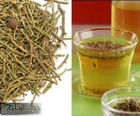 "عشبة عربية سحربة"... تغنيك عن جميع الادوية تعالج الالتهاب الرئة والسكري تناول هذه العشبة السحرية