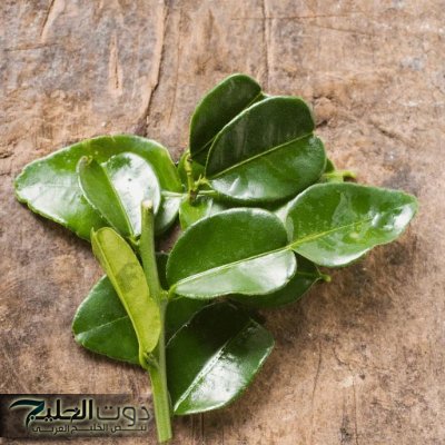 اوراق هذه العشبة تصنع المعجزات مشروب سحري له مفعول جبار لخفض نسبة السكر التراكمي وحرق الجلوكوز في الدم