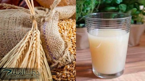“أغلى من ذهب الإمارات”.. مياه نقع الشعير كنز ثمين يمنع حصوات الكلى ويظبط السكر وتخسس البطن.. الألمان
