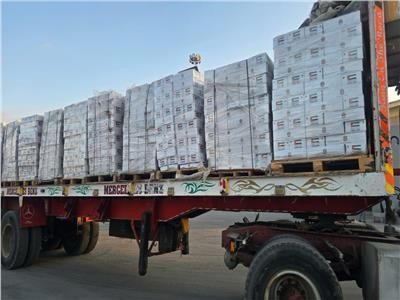 بتنسيق مصري.. مساعدات عربية وإماراتية مكثّفة تدخل غزة برًا وجوًا رغم أهوال الحرب