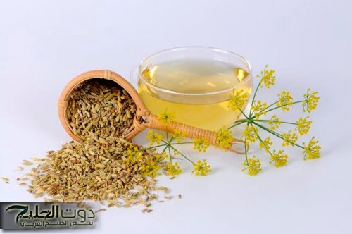 "الوصفة السحرية".. عشبة برخص التراب توجد في كل بيت تخلصك من دهون البطن المتراكمة بكل سهولة.