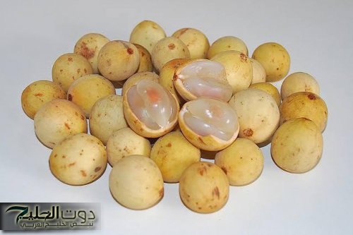 معجزة ربانية لا تقدر بثمن .. عشبة سحرية طعمها حلو تضبط مستوي السكر التراكمي في الدم بسرعة البرق وتعتبر أوي