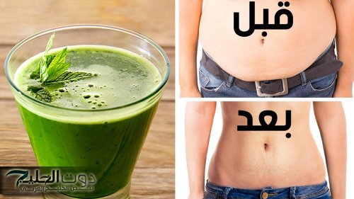 “تخلصي من دهون البطن والكرش سريعًا!”.. برنامج تنحيف الجسم الشامل اللي هيخلي جسمك متناسق وصحي في وقت قياسي!